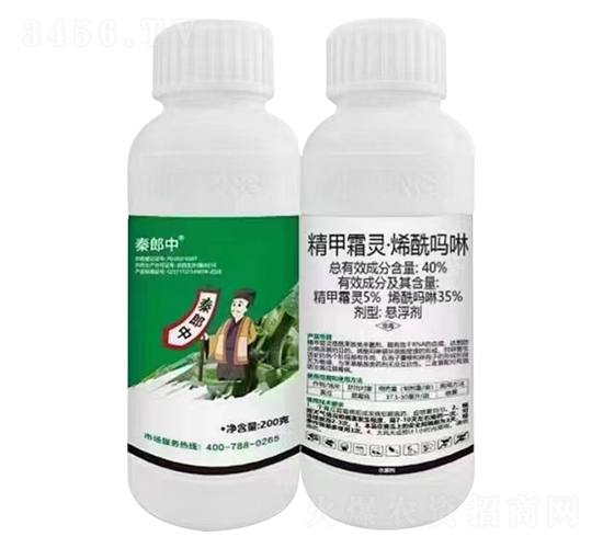 40%����˪�顤ϩ������������-������-��������