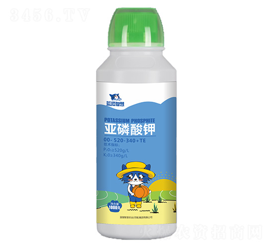 �������00-520-340+TE-��è�ǻ�
