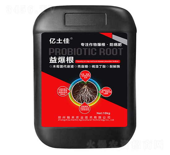 �汬��-������-����