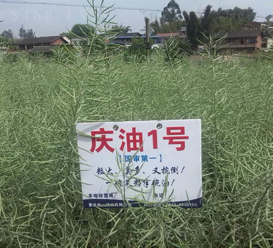 ����1��-�Ͳ�����-��ũ�Ƽ�