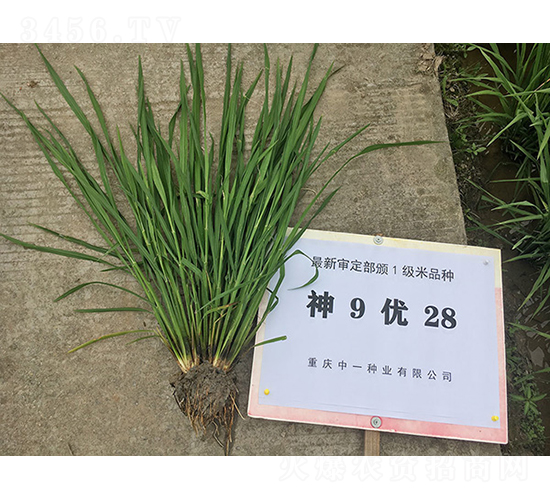 ��9��28�����浾��-ˮ������-��ũ�Ƽ�
