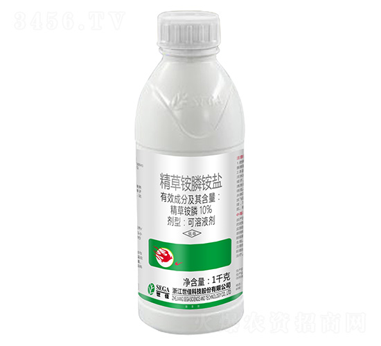 10%���������-���Ѷ�ŷ-����