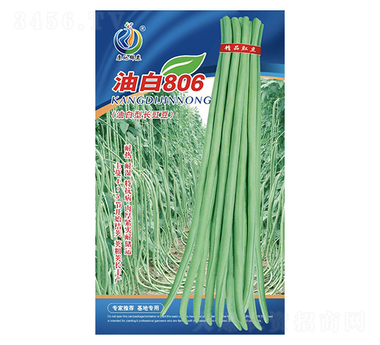 �Ͱ�806-��������-���ؿƼ�