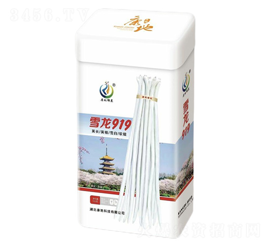 ѩ��919-��������-���ؿƼ�
