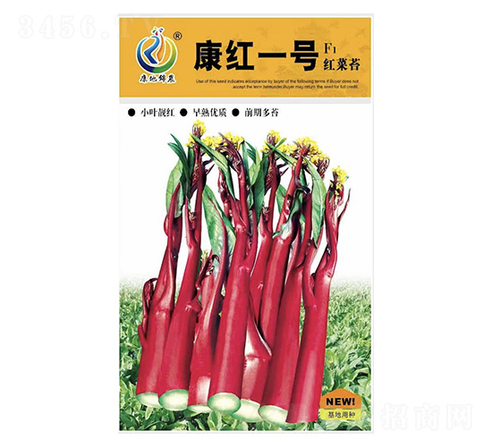 ���졪��-��޷����-���ؿƼ�