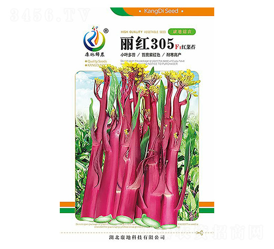 ����305-��޷����-���ؿƼ�