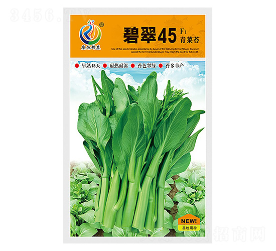 �̴�45-��޷����-���ؿƼ�