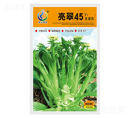����45-��޷����-���ؿƼ�
