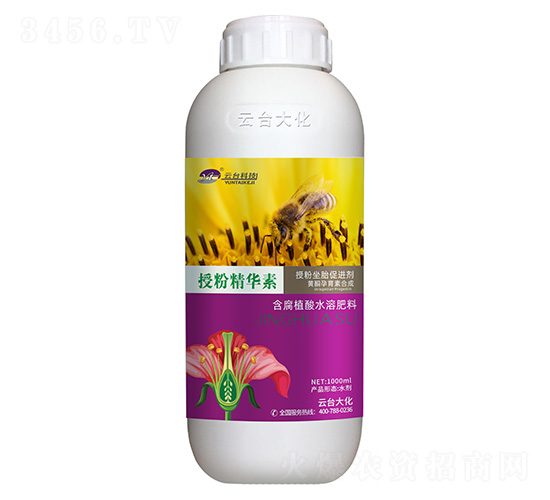 �ڷ۾�����-��̨��