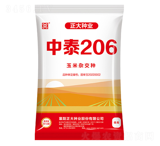 ��̩206-��������-������ҵ