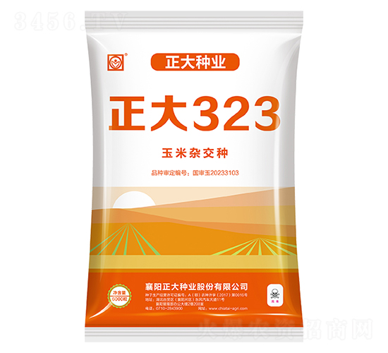 ����323-��������-������ҵ