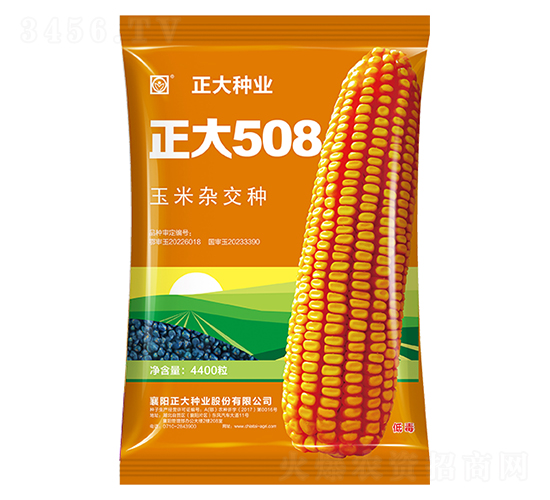 ����508-��������-������ҵ