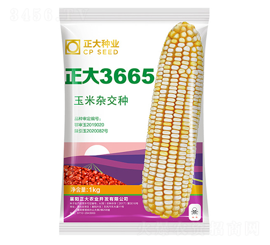 ����3665-��������-������ҵ