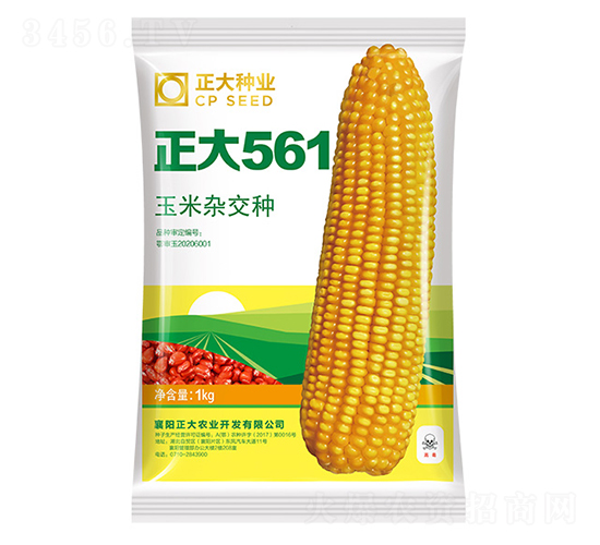 ����561-��������-������ҵ