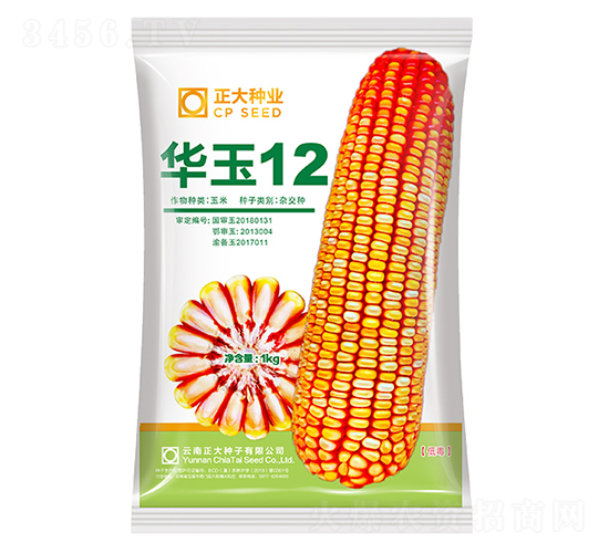 ����12-��������-������ҵ