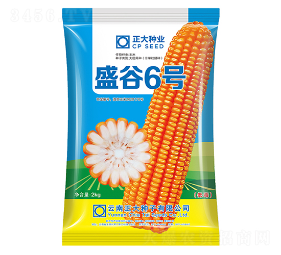 ʢ��6��-��������-������ҵ