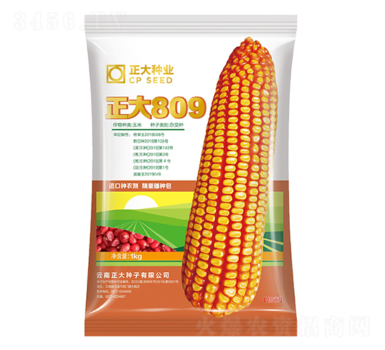 ����809-��������-������ҵ