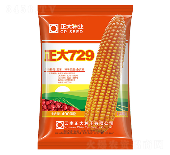 ����729-��������-������ҵ