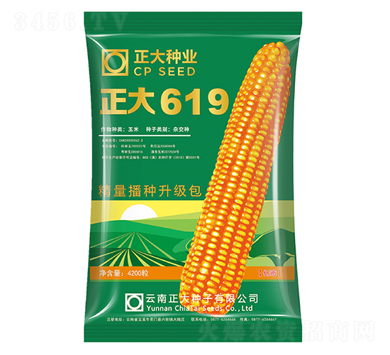 ����619-��������-������ҵ