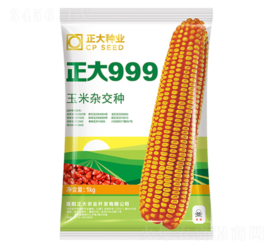����999-��������-������ҵ