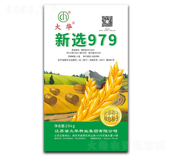 ��ѡ979-С������-����ҵ