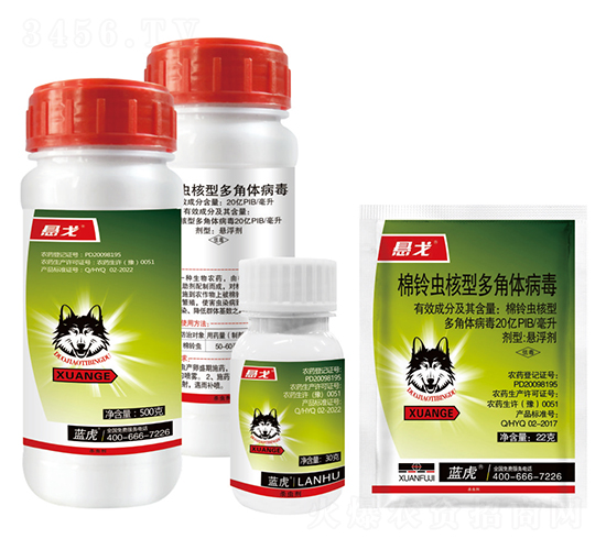 20��PIB�������Ͷ���岡��������-����-����-�¹��ǵ�
