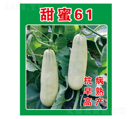 �������-����61-�з�ũҵ