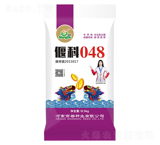 �ȿ�048-С����-�̶���ҵ