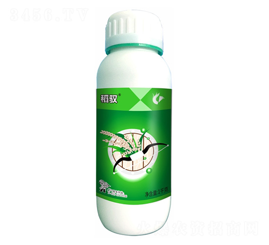 30%�f��ݡ������������-��Ԧ-����¡����
