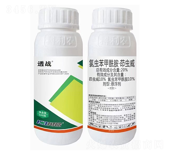 20%�ȳ汽�������������-͸ս-����ũ