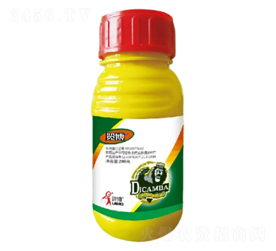 33%��η���ݸ��AS-����-һ���Ƽ�