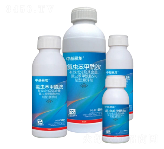 5%�ȳ汽��������������SC��-�л�����-�л������ѧ