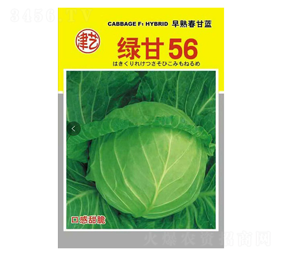 ��������-�̸�56-����ũҵ