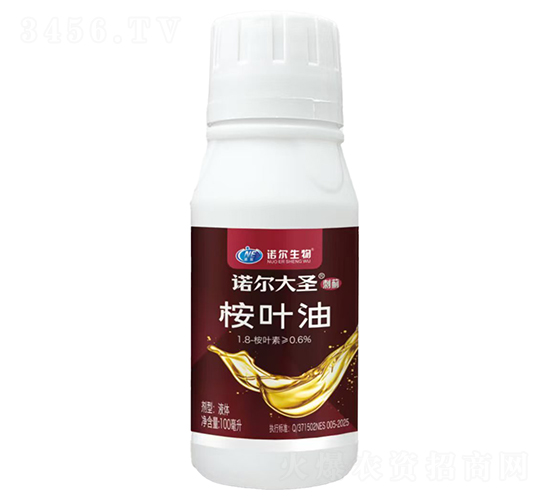 ��Ҷ��-ŵ����ʥ���̼�-ŵ������