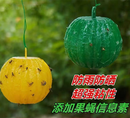 ��������Ӭ��-����������