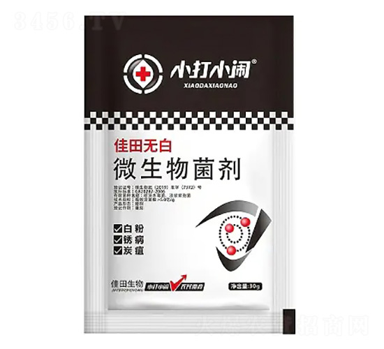 ΢�������-�����ް�-С��С��-��������