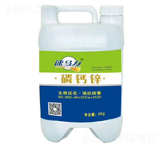 �׸�п5KG-�а���ũ
