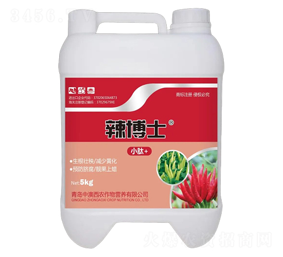 ����ʿ5KG-�а���ũ