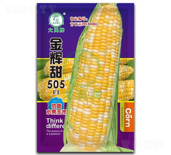 �����505��������-������ҵ