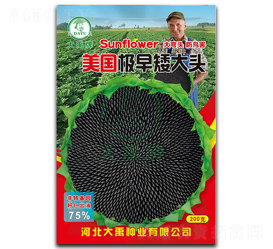 �������簫��ͷ-�Ϳ�����-������ҵ