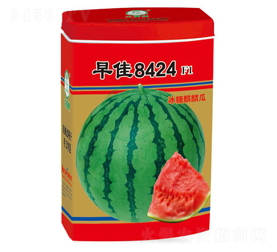 ���8424��������-������ҵ