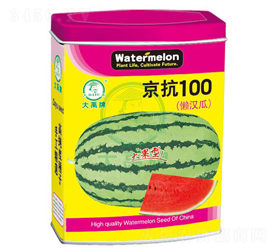 ����100��������-������ҵ