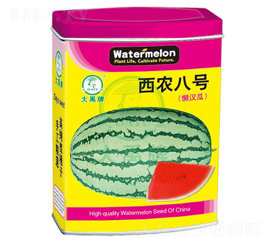 ��ũ8����������-������ҵ