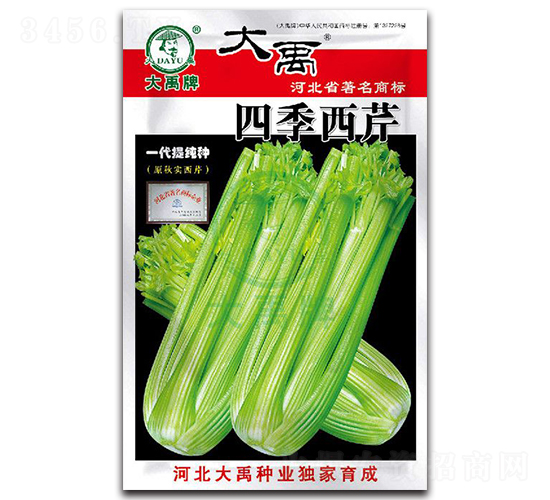 �ļ�����-�۲�����-������ҵ