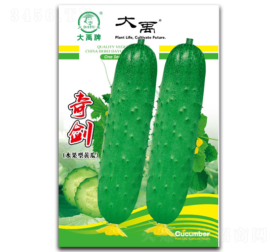 �潣�ƹ�����-������ҵ