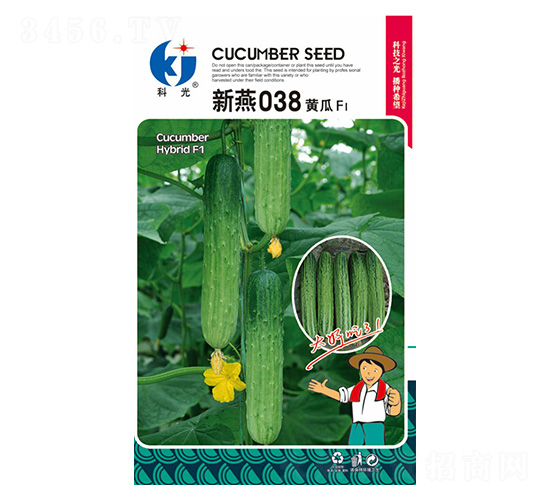 ����038-�ƹ�����