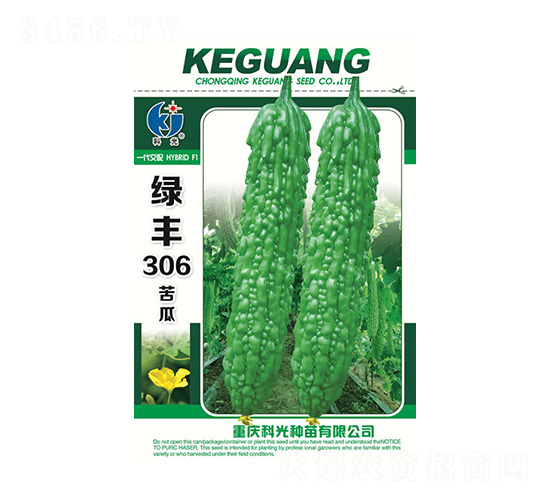 �̷�306-�ƹ�����