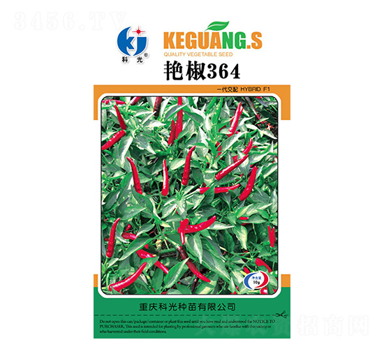 �޽�364-�ƹ�����