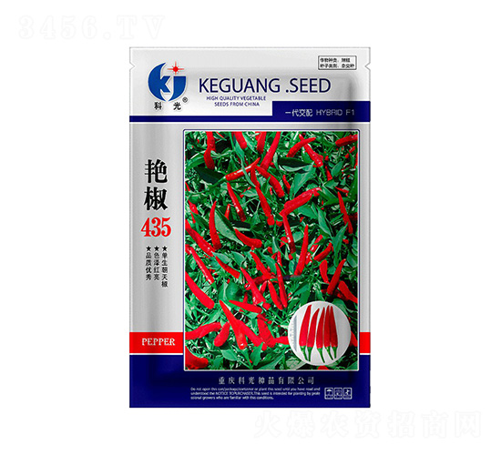 �޽�435-�ƹ�����