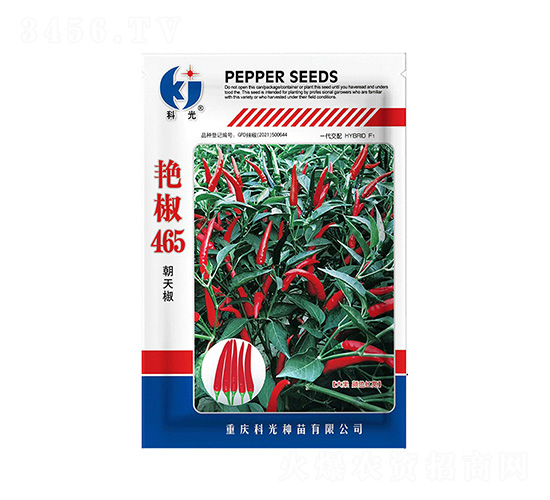 �޽�465-�ƹ�����